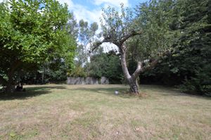 Communal Garden- click for photo gallery